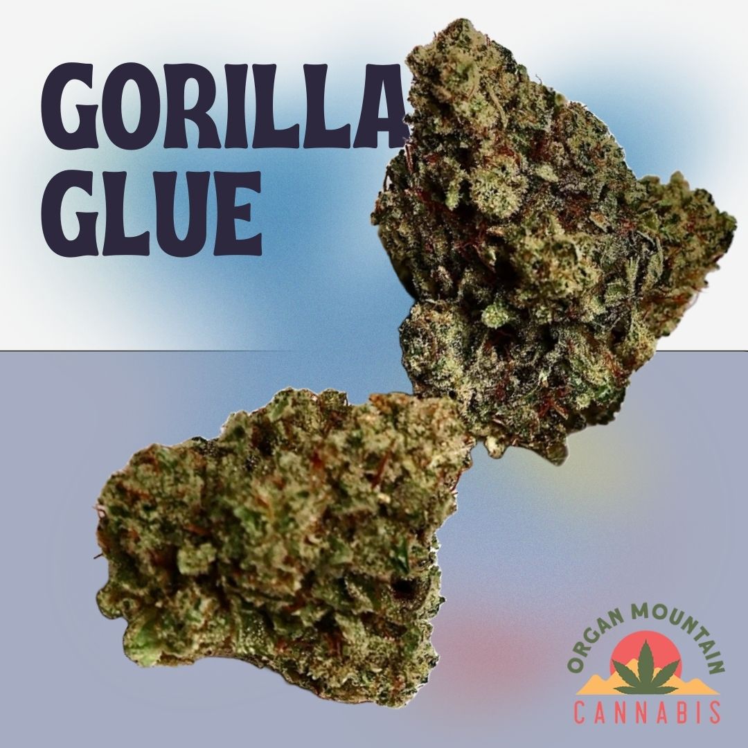 Photograph of product: Gorilla Glue 7g