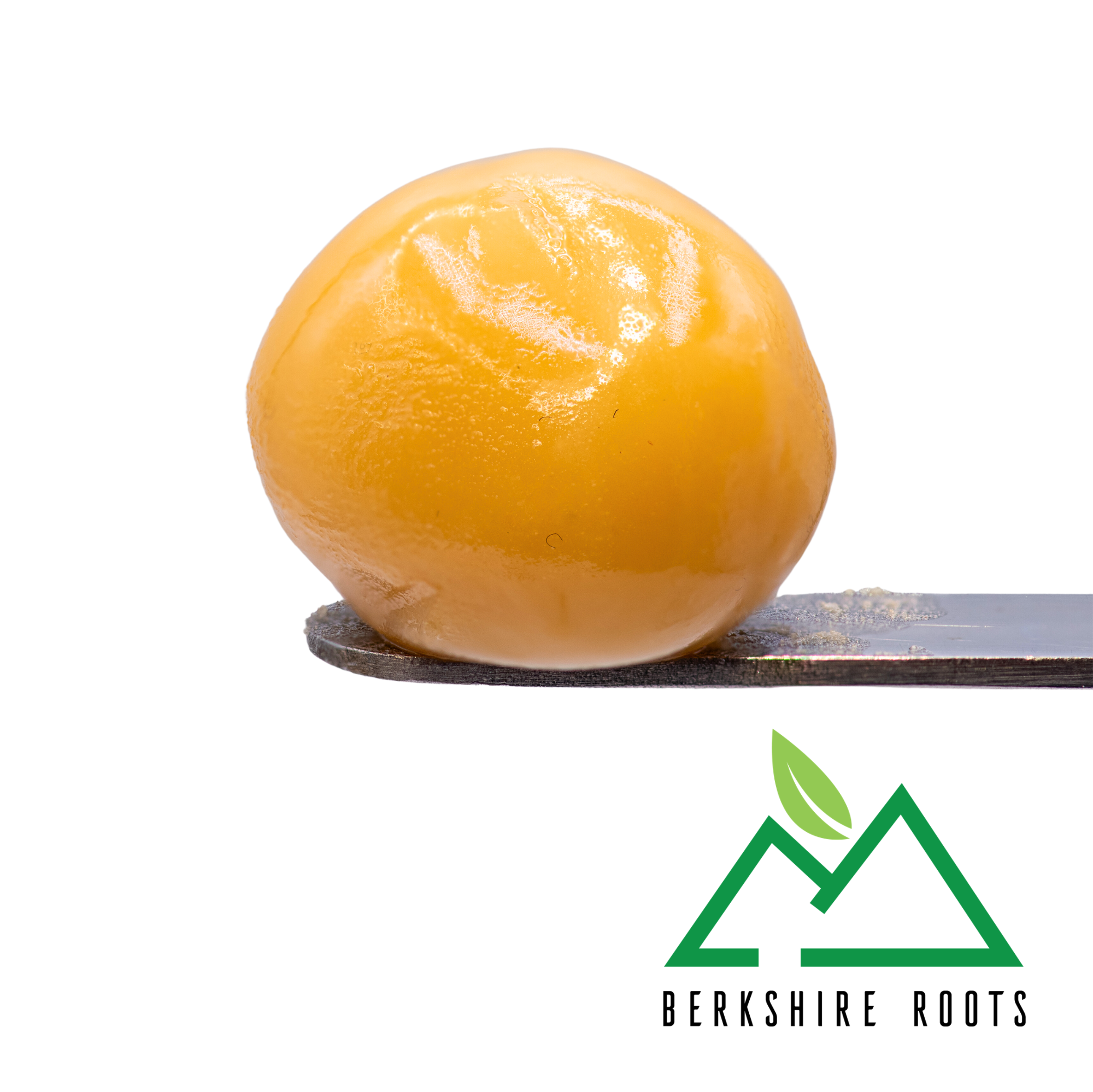 Photograph of product: D Sailor (H) LIVE Badder | 3.5g