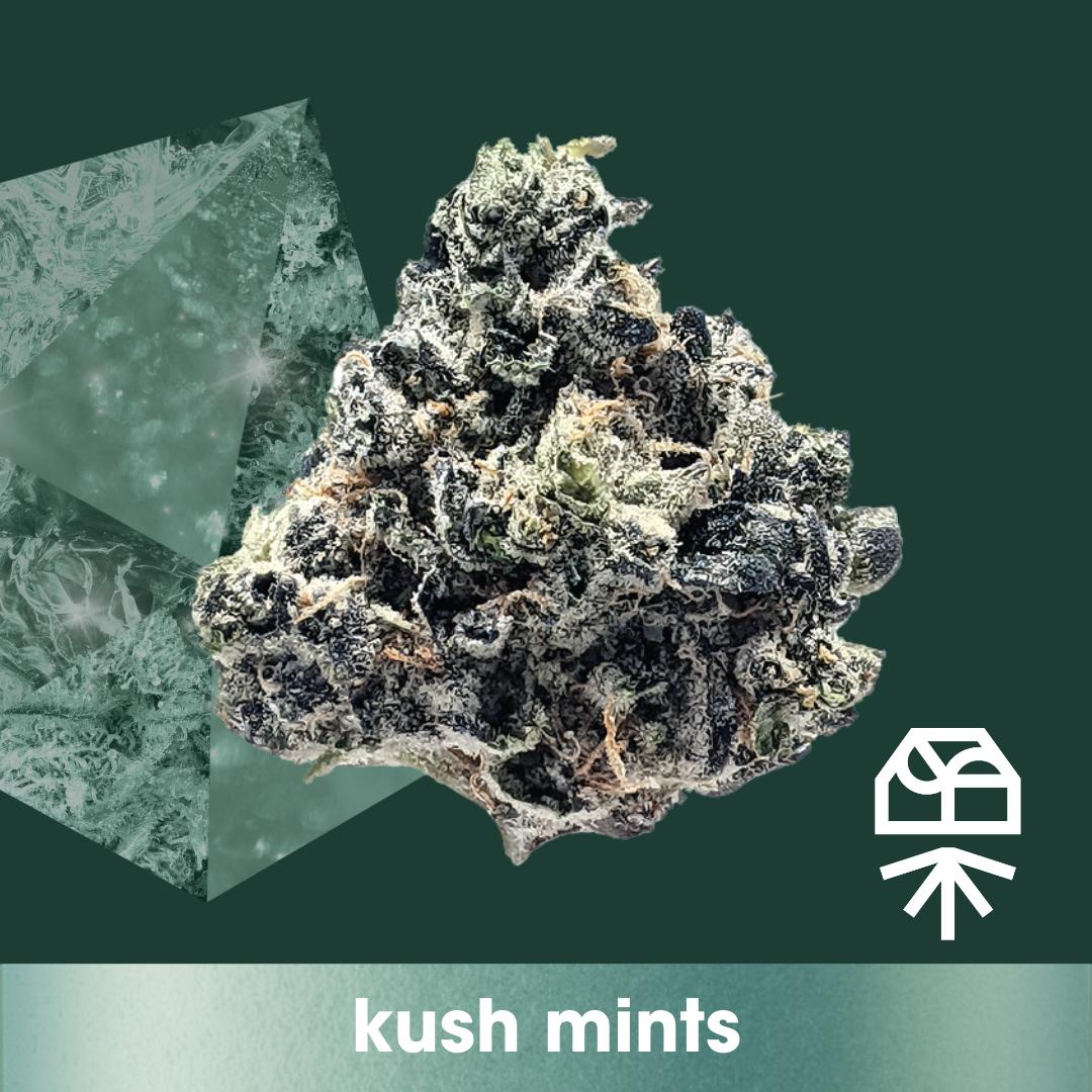 Photograph of product: Diamond Infused Kush Mints Whole Flower 3.5g