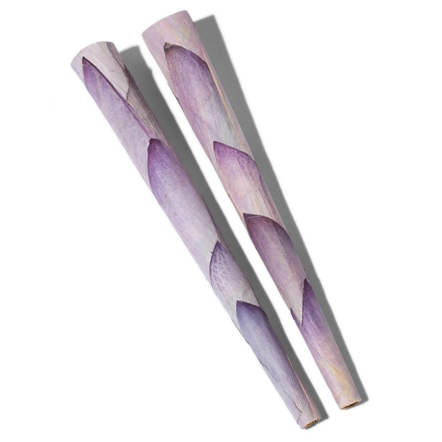 Photograph of product: Lotus 2pk King Cones