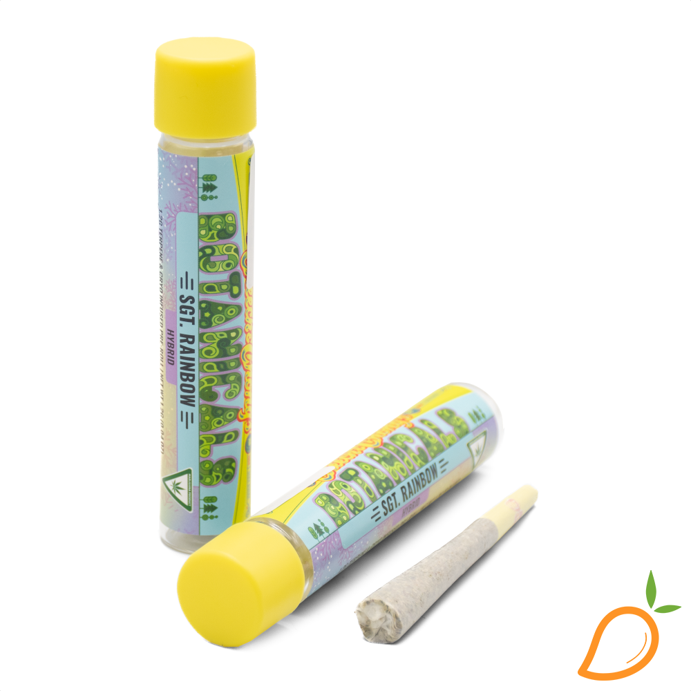 Photograph of product: 1.2g Sgt Rainbow Cryo Infused Preroll Cheech & Chong