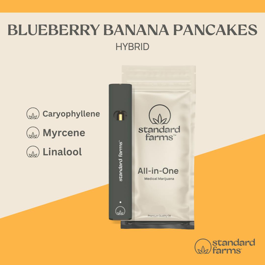 Photograph of product: Blueberry Banana Pancakes Distillate Disposable Vape Pen (H) [1g] - 