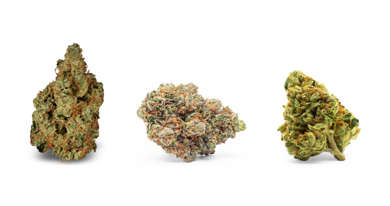 Photograph of product: FRT GSHRS Flower | 1g