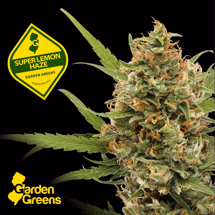 Photograph of product: Garden Greens | Super Lemon Haze Flower - 3.5g