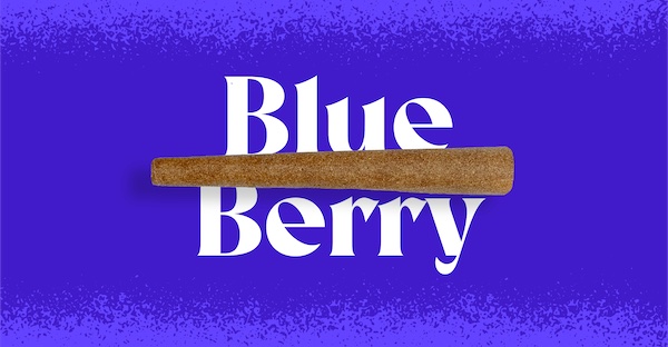 Photograph of product: Doinks - Flavored Infused Blunt - Blueberry (H)