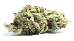 Photograph of product: Flower | Rocket Fuel - 3.5g