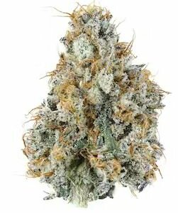 Photograph of product: Gold Member- Popcorn oz 28g