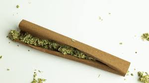 Photograph of product: WM- GMO 2.5 Infuse Blunts