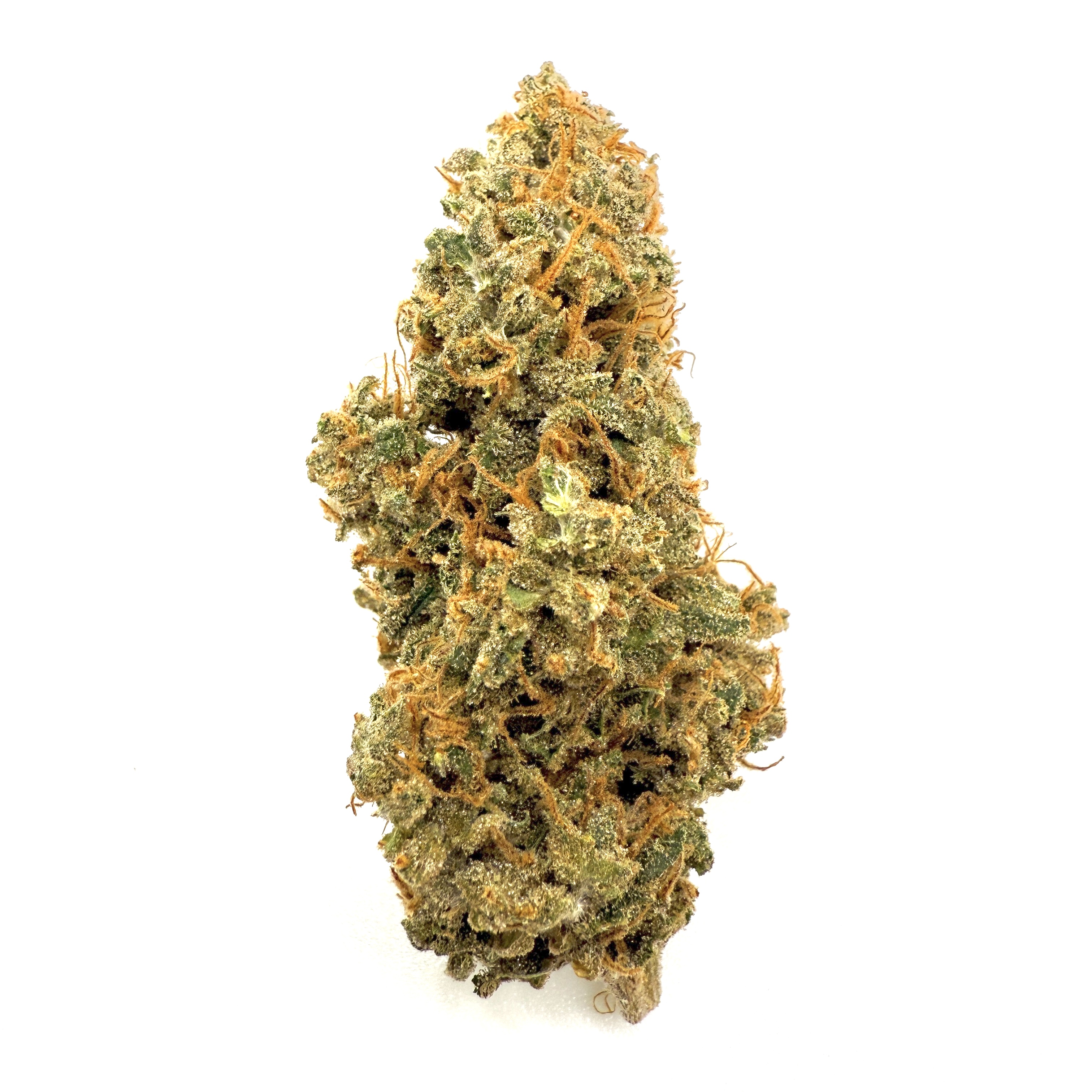 Photograph of product: Lusty Lady Flower | Hybrid | Mainely Rooted - 28g