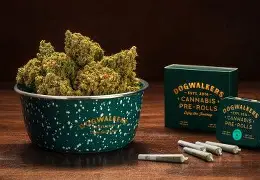 Photograph of Product: Dogwalkers Strawnana Cookies 5-Pack Prerolls 1.75g
