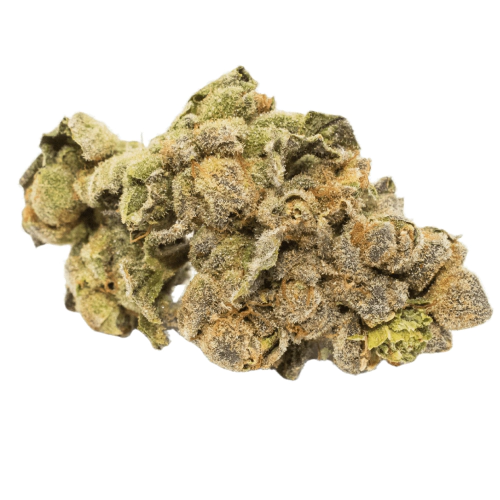 Photograph of product: Platinum Shelf - Grape Gasoline (H) - 28g