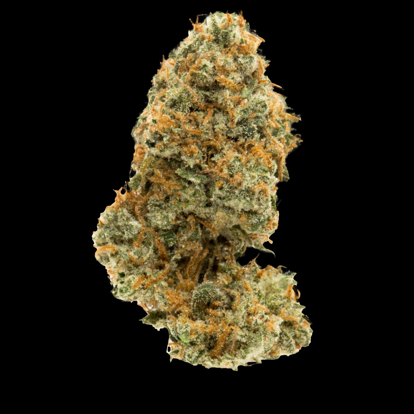 Photograph of product: PLATINUM RESERVE | FLOWER | GHOST TRAIN MIMOSA | 3.5G