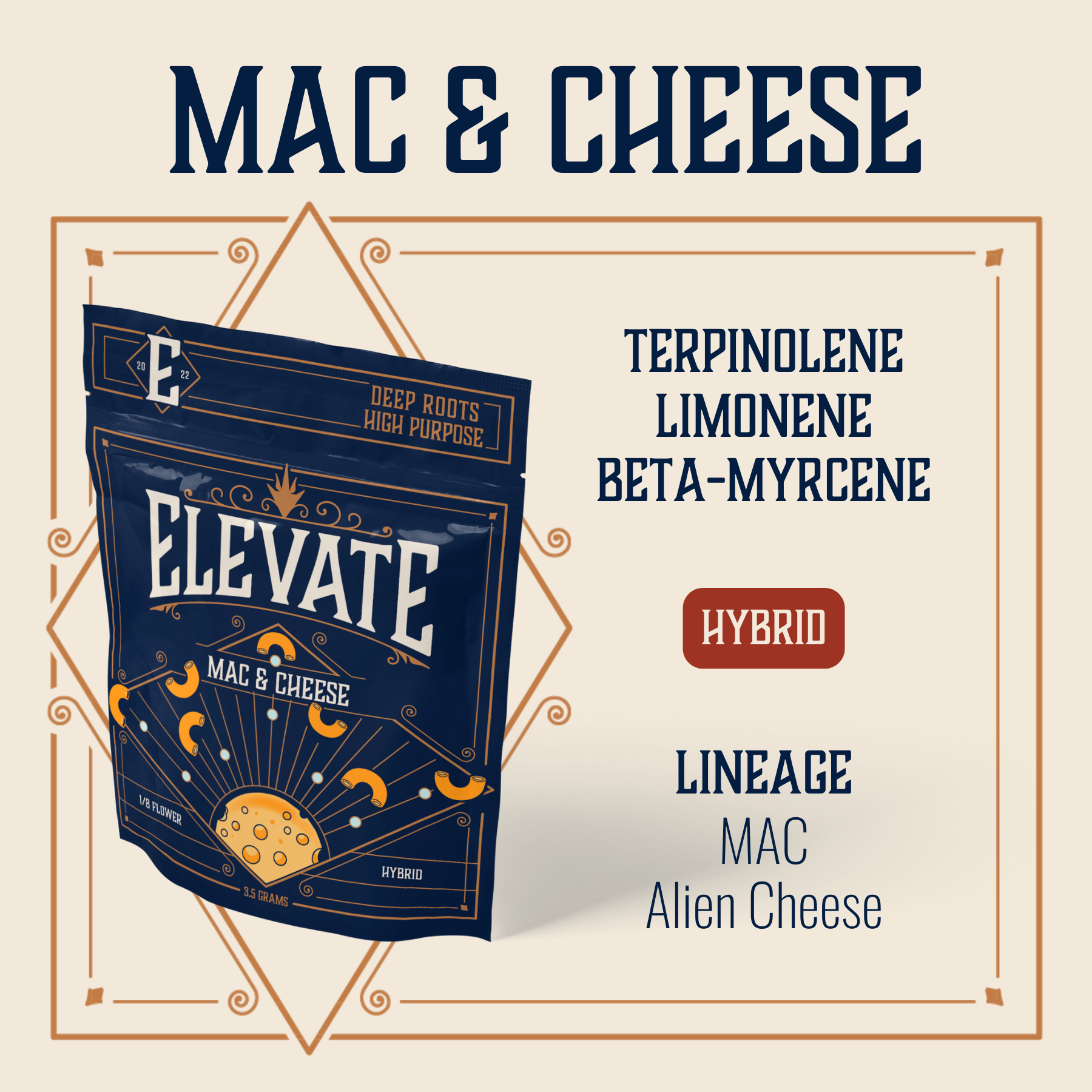 Photograph of product: Mac & Cheese - 3.5g