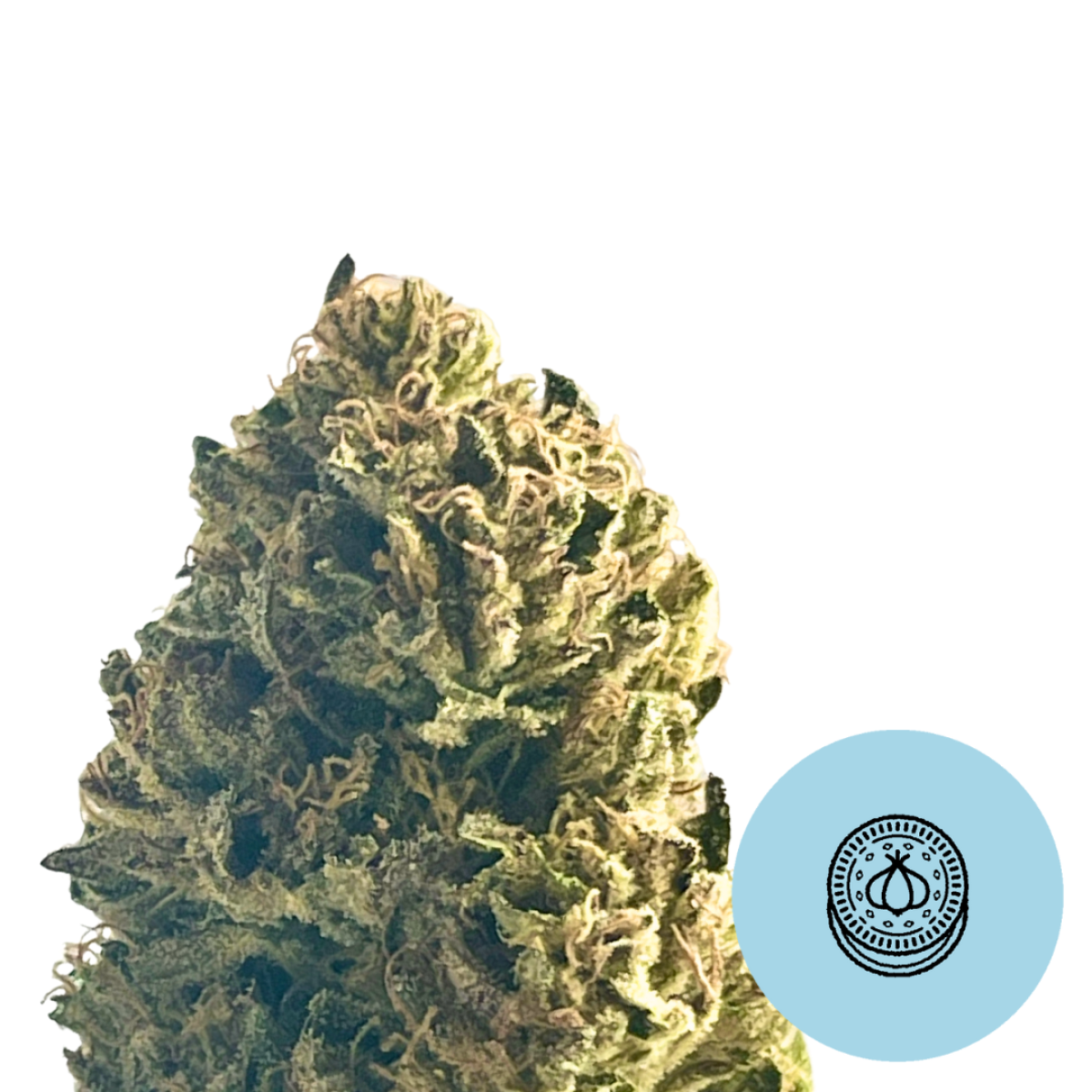 Photograph of product: Family Tree - Garlic Oreos - 3.5g