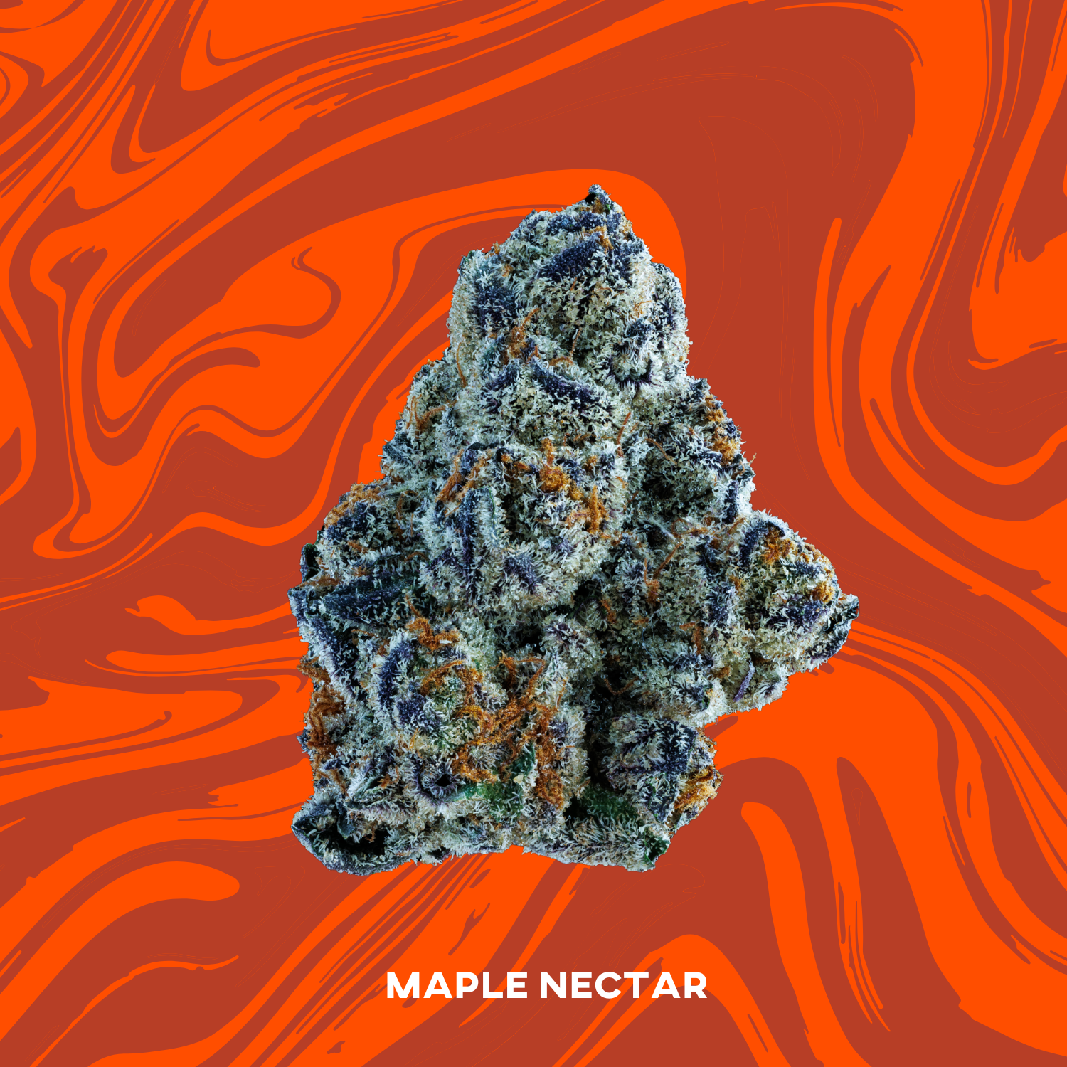 Photograph of product: Vivid - Maple Nectar - PrePack - 3.5g