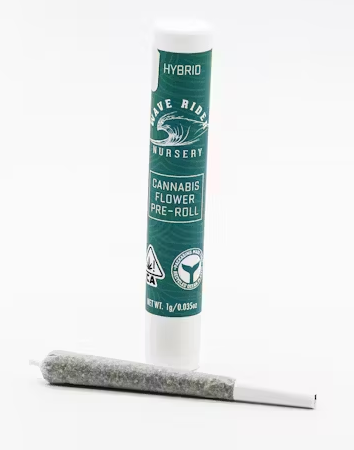 Photograph of product: Apple Fritter 1G Pre-Roll (2024) Wave Rider