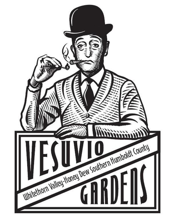 Photograph of product: Vesuvio | Vesuvio - 3.5g