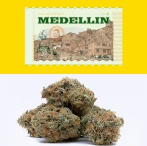 Photograph of product: MEDELLIN 3.5G FLOWER