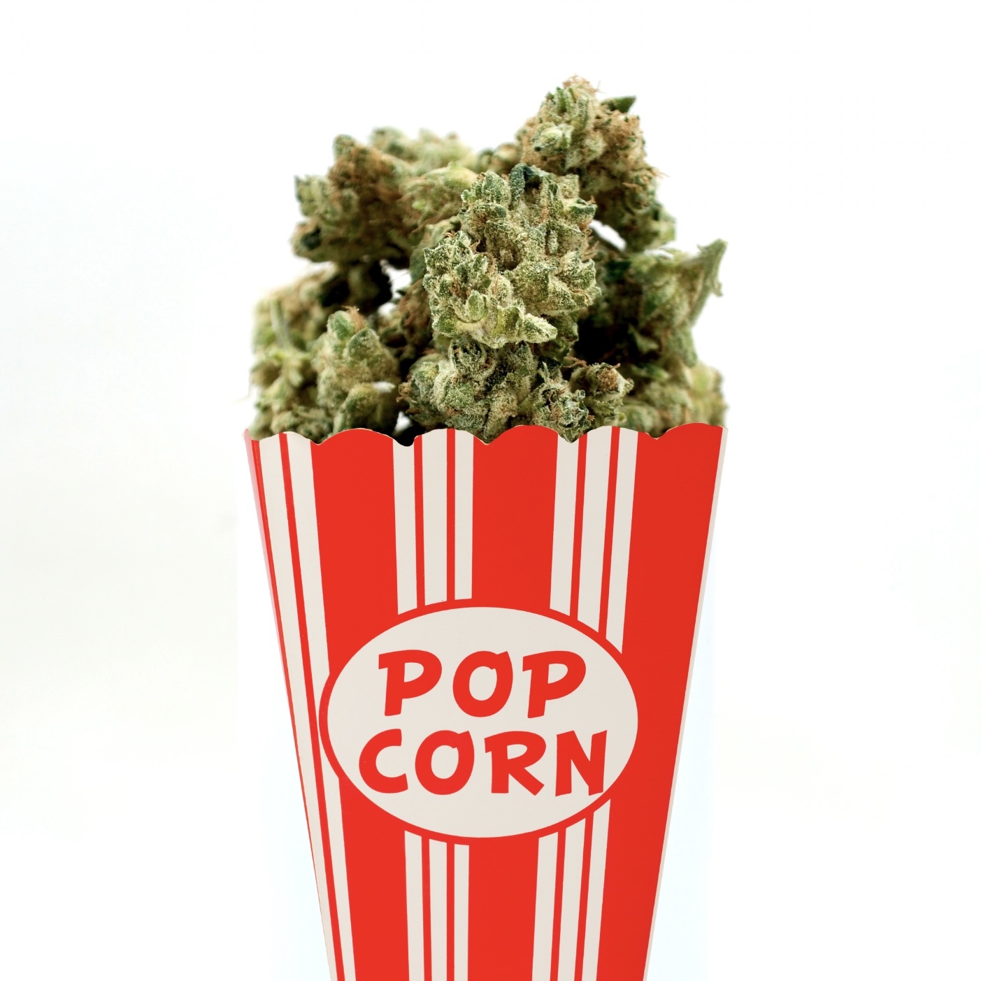 Photograph of product: Black Raspberry |  Popcorn | TAC: 29.5% - 28g