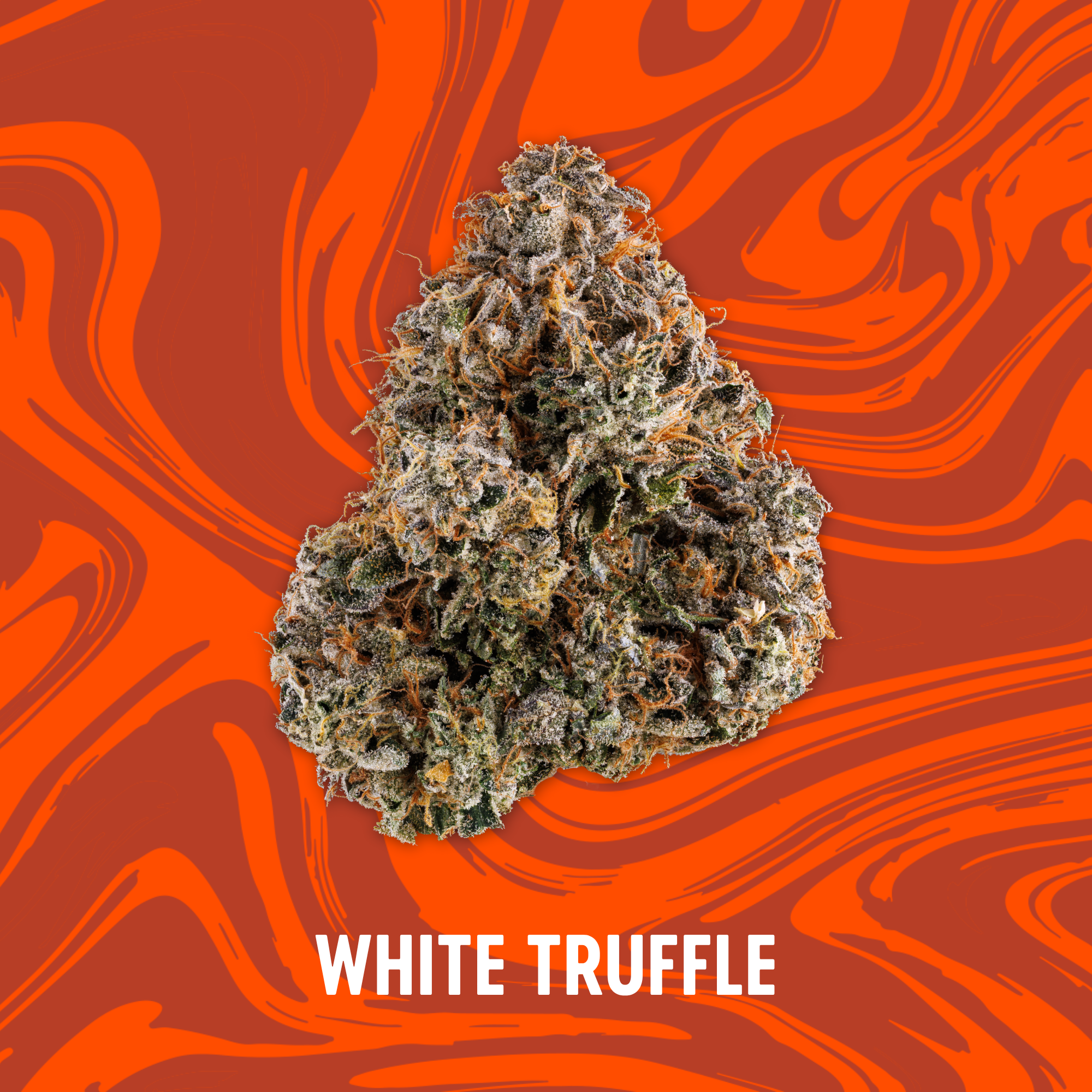 Photograph of product: Vivid - NEW DROP - White Truffle - Deli Flower - 84g