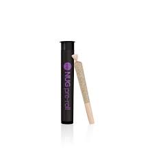 Photograph of product: NUG Oui'd 1G PRE ROLL