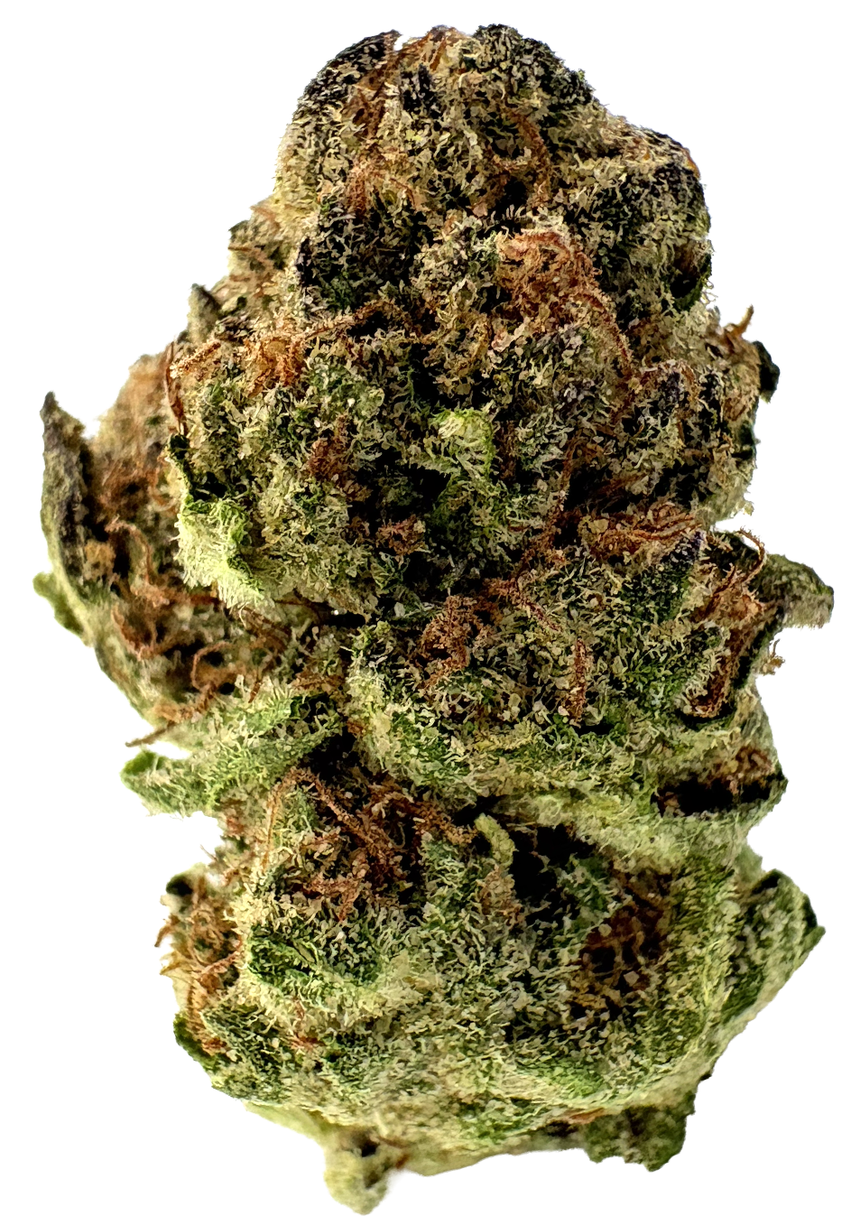 Photograph of product: High Hill Oui'd | AMPM | 7G Smalls