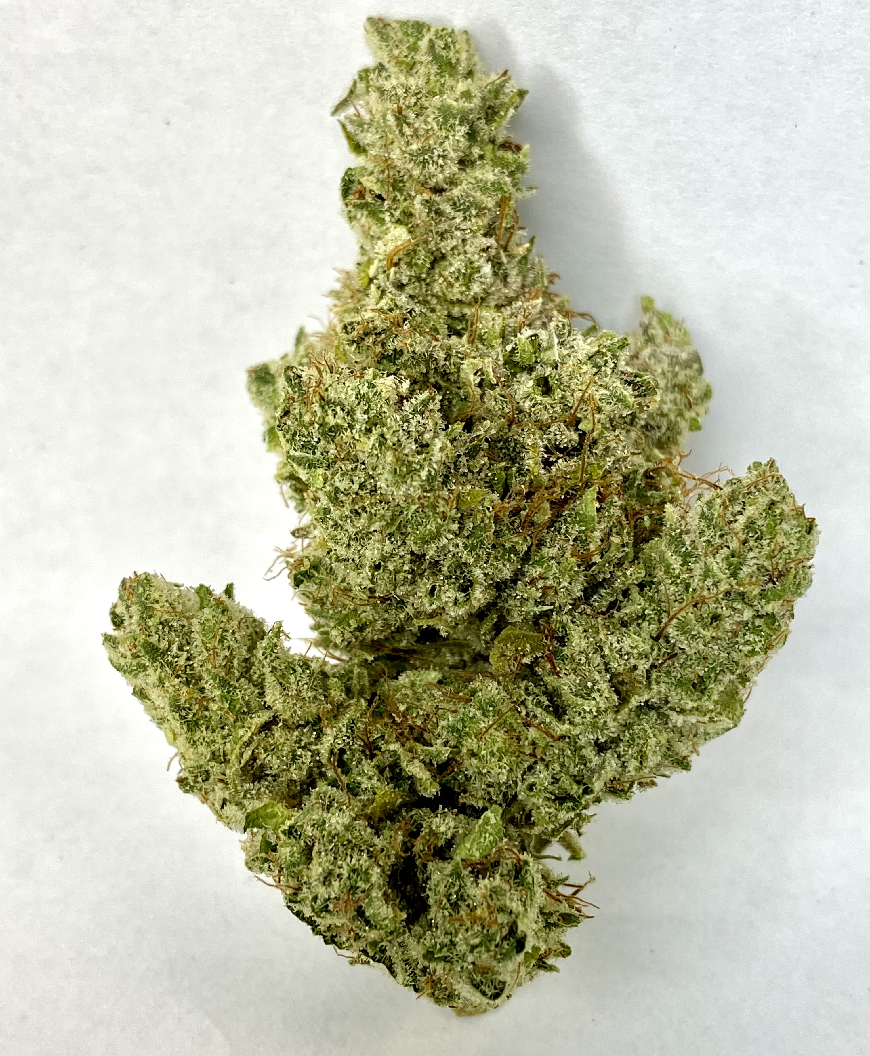 Photograph of Product: GG4-Flower-|Indica-Dominant|HRBD - 1g