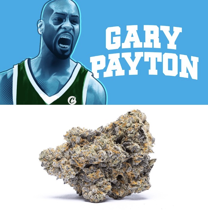 Photograph of product: Gary Payton | 3.5g