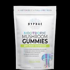 Photograph of product: Hyphae Wellness - Prickly Pear Reishi Gummies 10ct