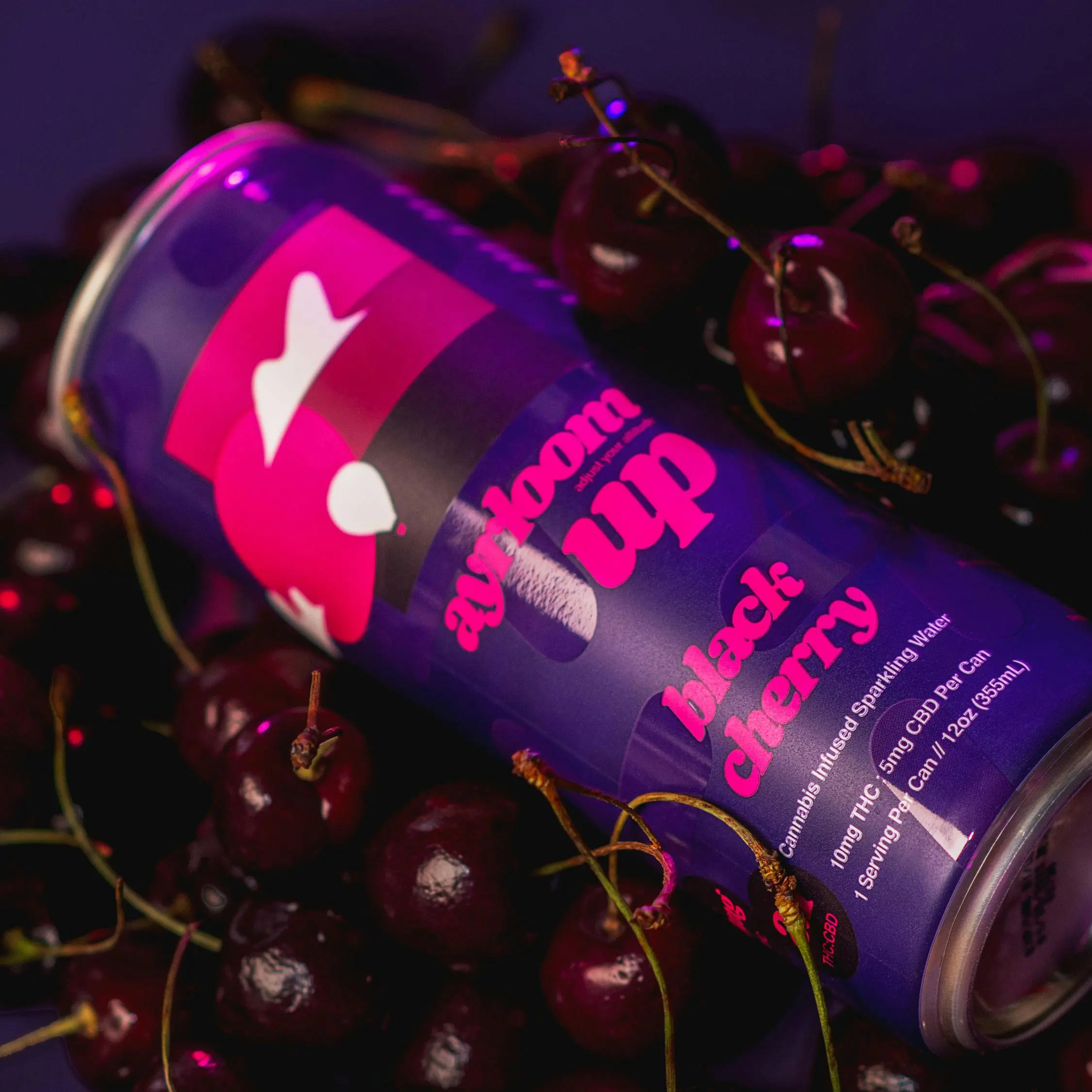 Photograph of product: Ayrloom UP - Black Cherry 2-1 Single