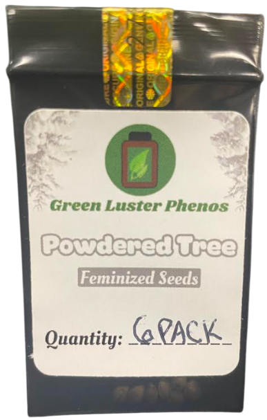 Photograph of Product: Powdered Tree: Feminized Seed - 6 Pack