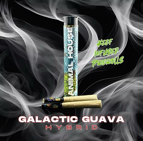 Photograph of product: Animal House | Galactic Guava | Infused Pre-Roll | 2 Pack | 1.5g