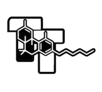 Photograph of product: Bread & Butter 1g Pre-Roll by Daily Grind