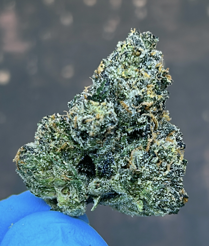 Photograph of product: Sunset Sherbet - 28g