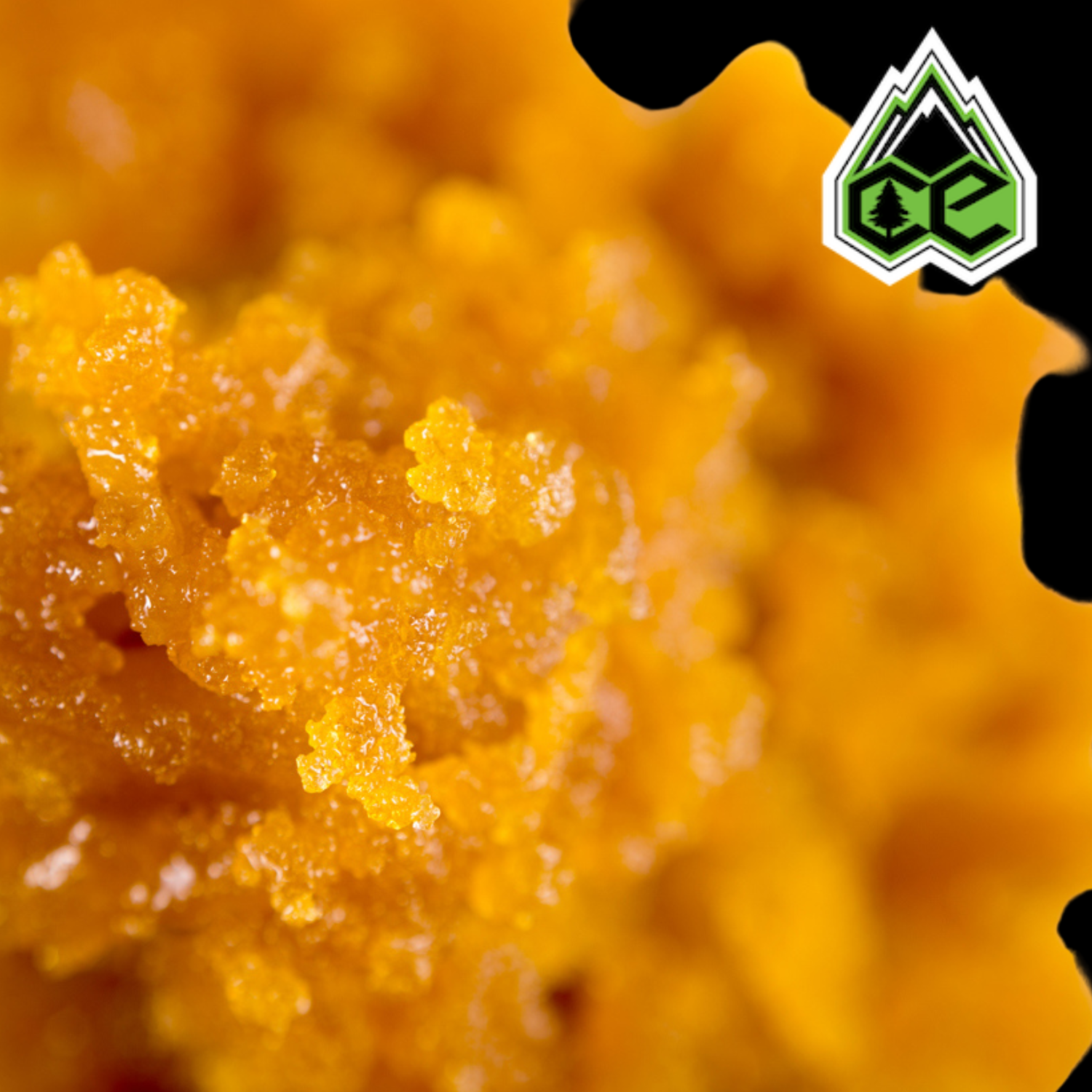 Photograph of product: Sugar | House Blend Hybrid