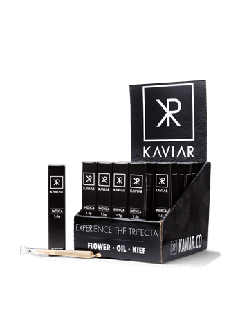 Photograph of product: Oui'd Infused Preroll with au chocolat Oil [1pk] 1.5g
