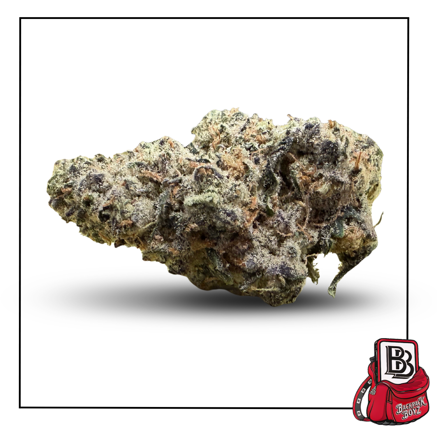 Photograph of product: Sour Garlic Cookies - Bulk Flower - 28g