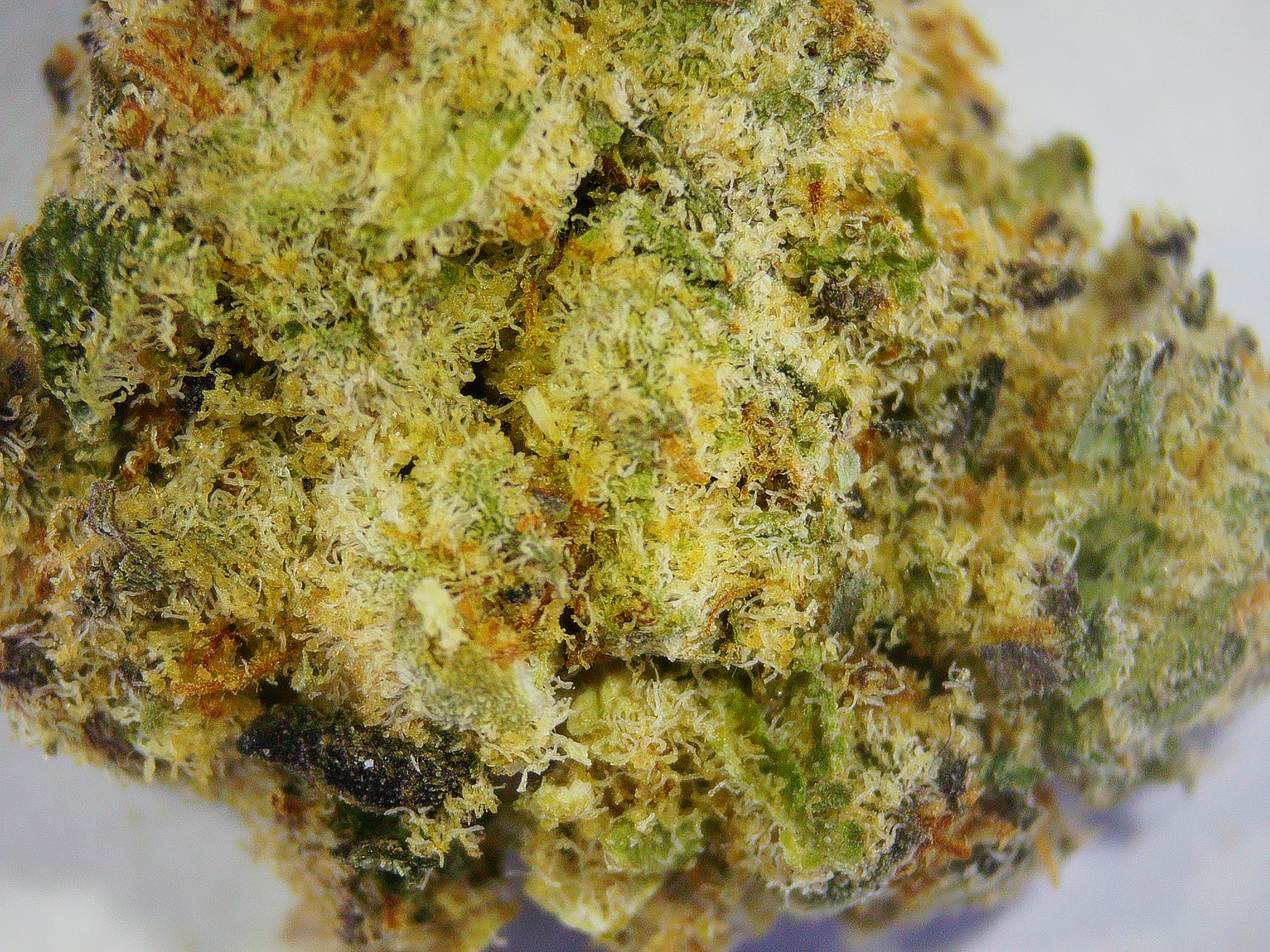 Photograph of product: Ceres Guava Bomb - 3.5g