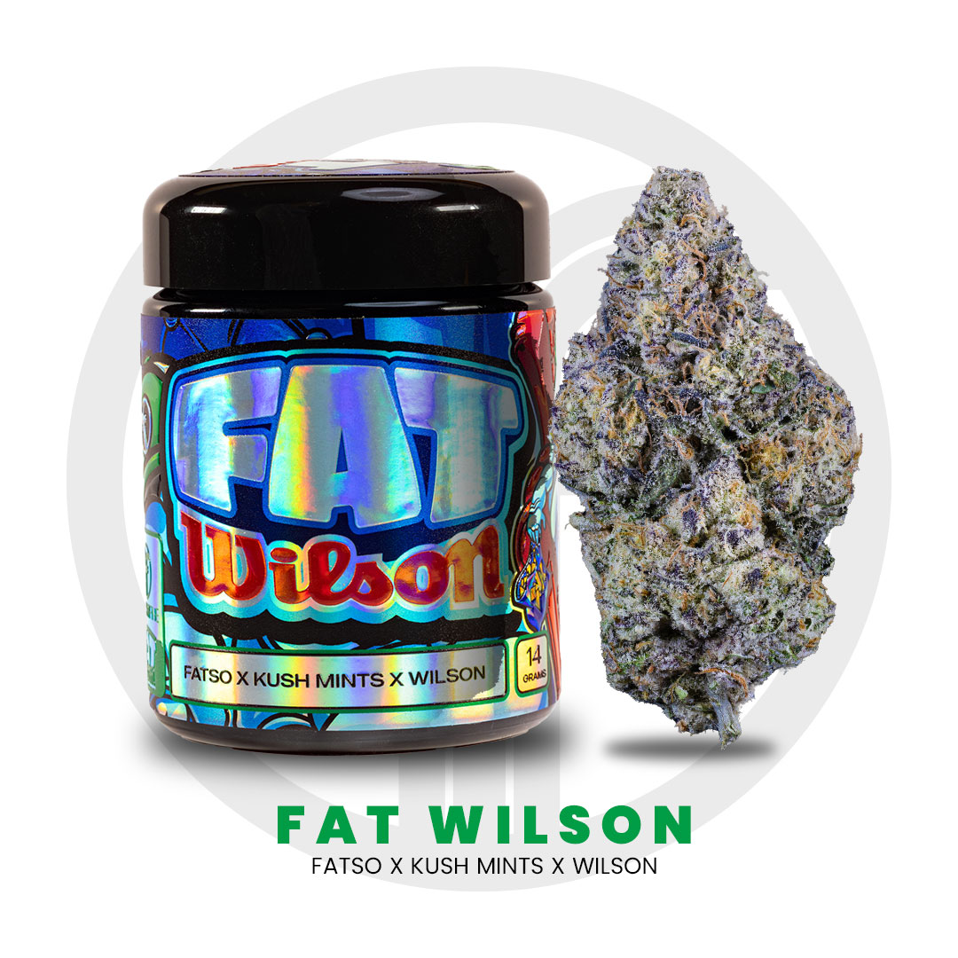 Photograph of product: Freshy Fine 14g Fat Wilson