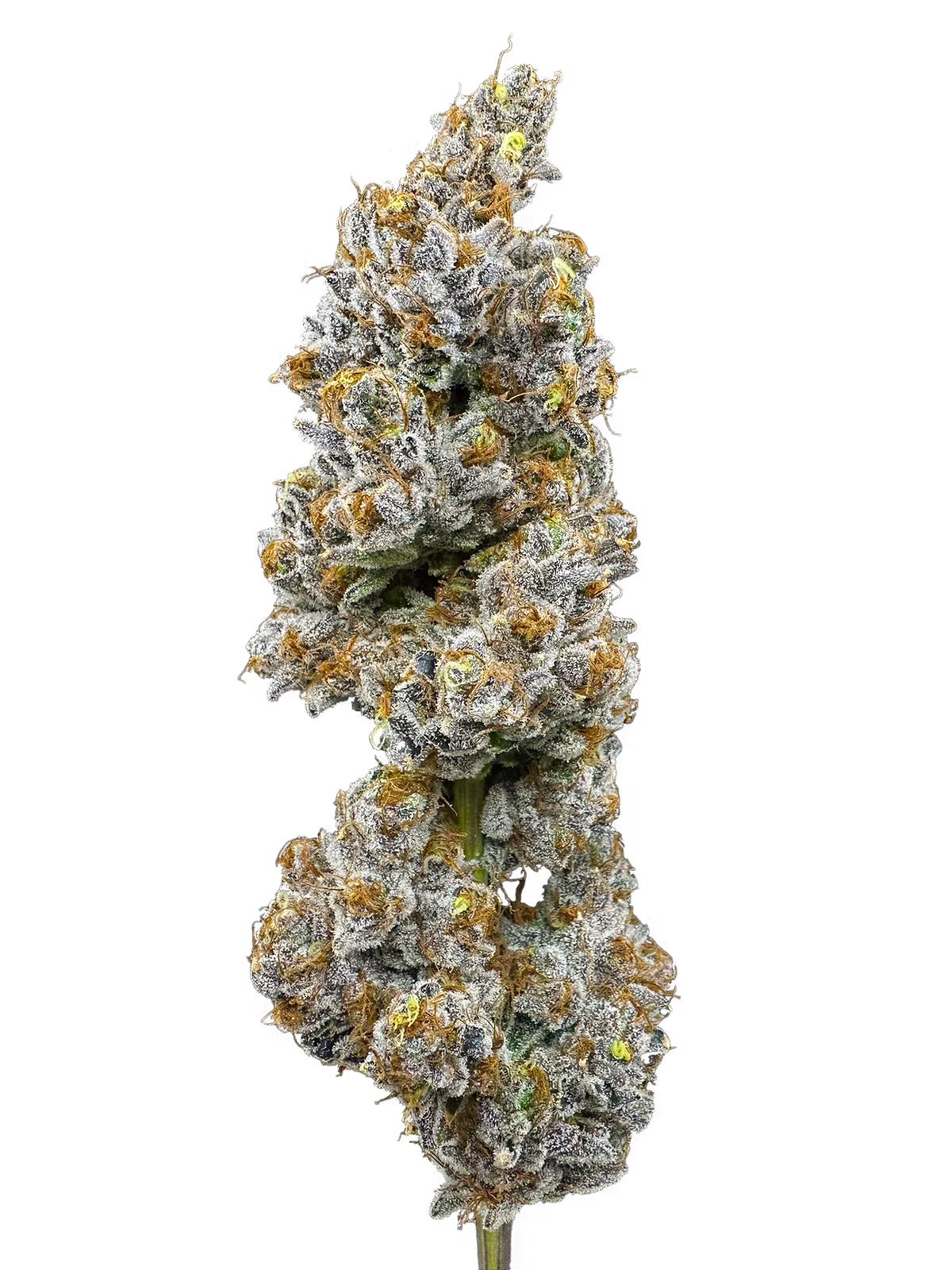 Photograph of product: Trifecta Farms | Lemon Cake | 3.5g