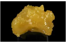 Photograph of product: Obama Runtz Badder 1g - 