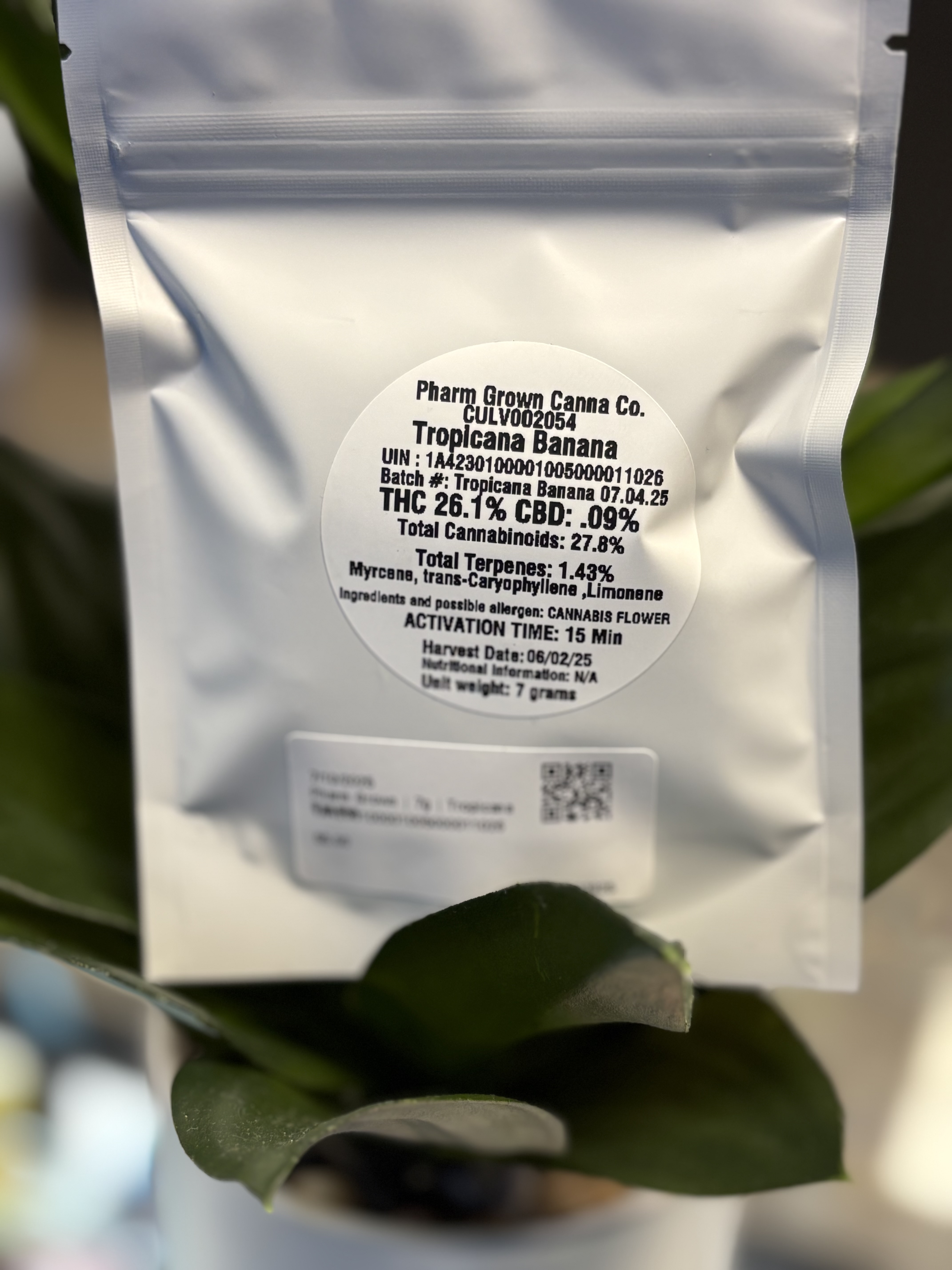 Photograph of product: Pharm Grown | 7g | Tropicana Banana