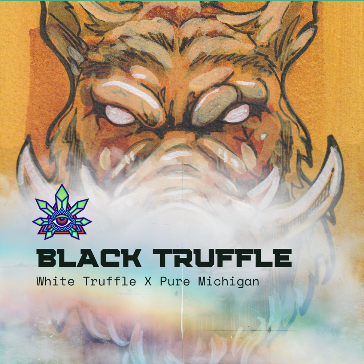 Photograph of product: Emerald Visions | Black Truffle | Bulk Flower - 28g