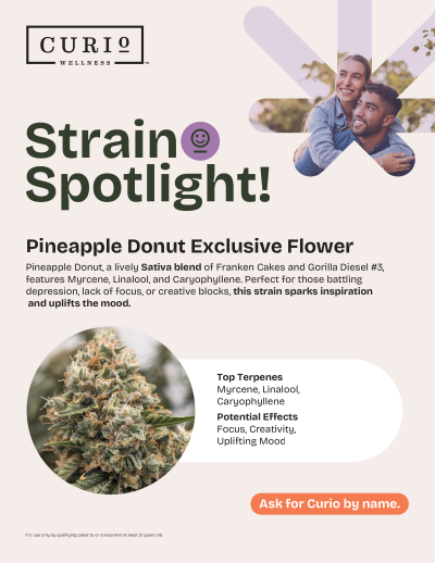 Photograph of product: Curio Wellness Pineapple Donut Flower (7g)
