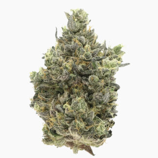 Photograph of product: Britney's Frozen Lemons #5 PP by 710 Labs - 3.5g