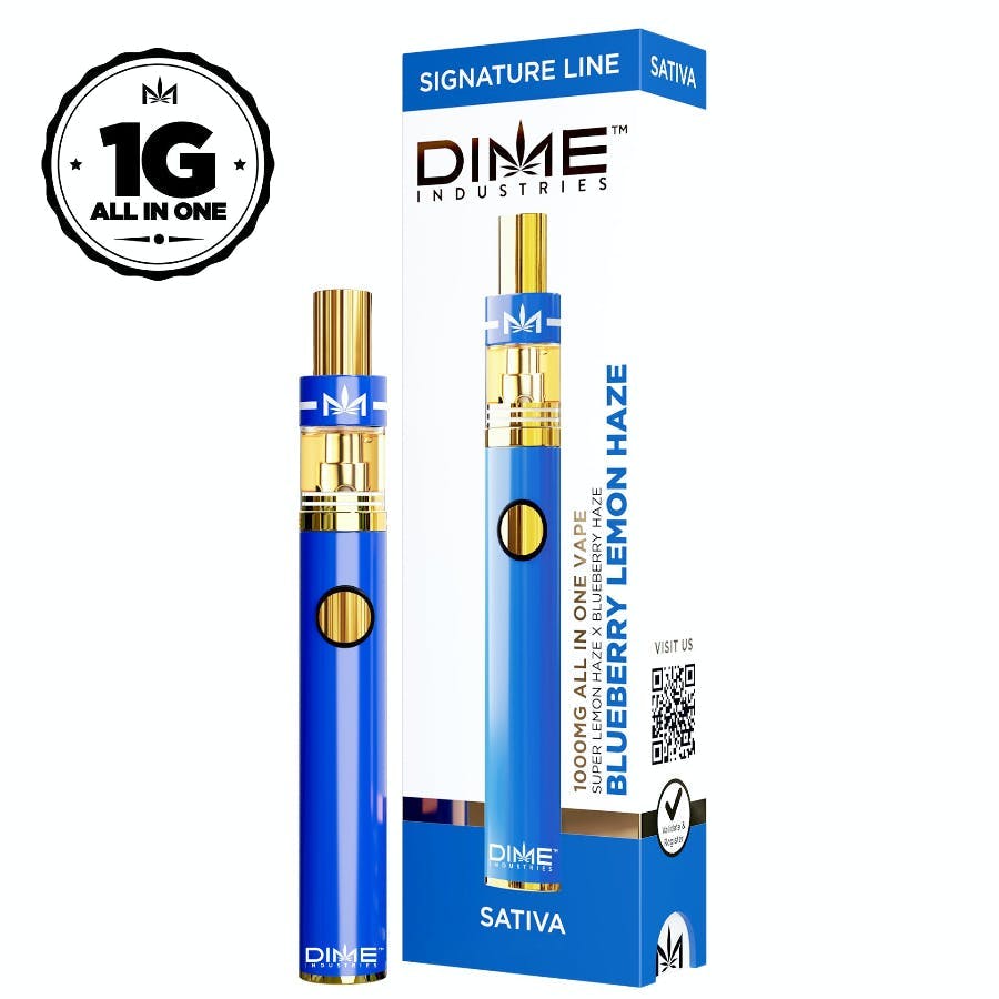 Photograph of product: DIME Industries - Blueberry Lemon Haze - 1G - Signature All In One