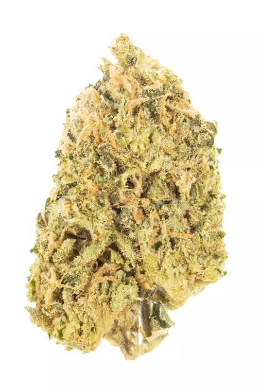 Photograph of product: Good Giggles | BombShellz (H) - 28g