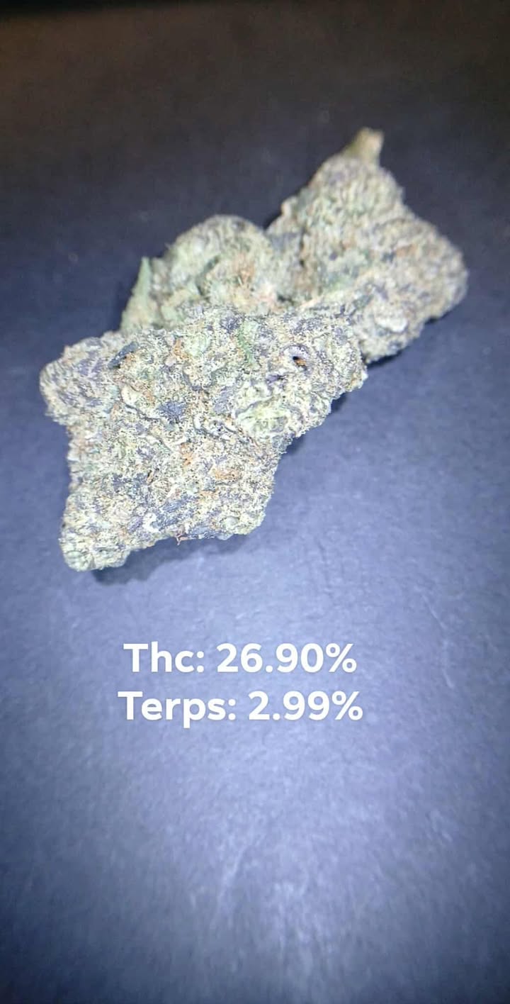 Photograph of product: Candy College $ /$175oz | 4 Pillars - 28g
