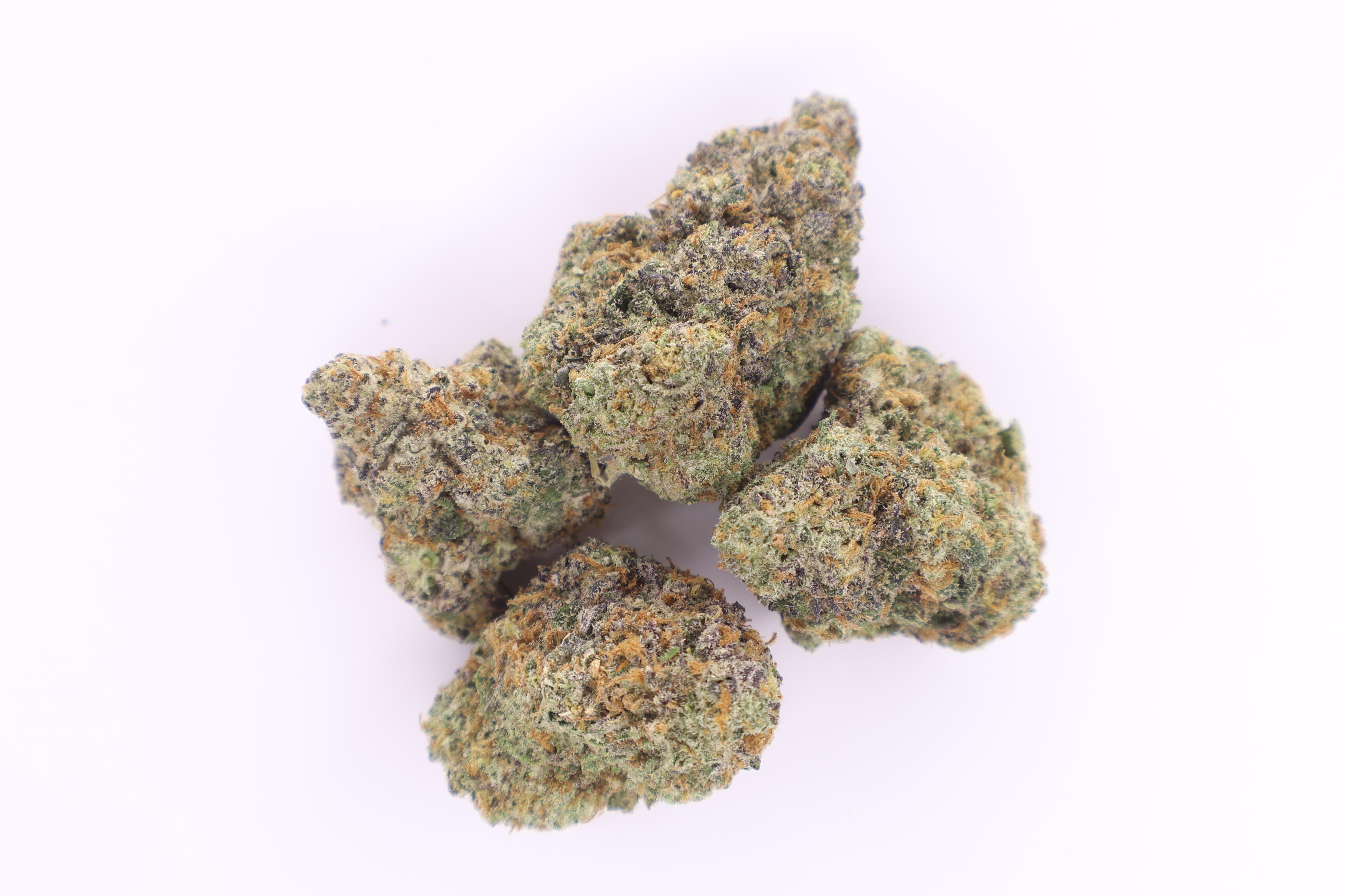 Photograph of product: Midzotics | Dark Web | Deli-Style Flower - 14g