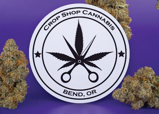 Photograph of product: The Crop Shop | Gold $ Gold - 28g